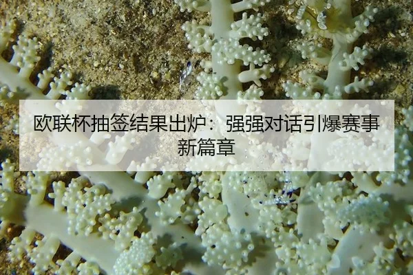 ou-lian-bei-chou-qian-jie-guo-chu-lu-qiang-qiang-dui-hua-yin-bao-sai-shi-xin-pian-zhang-2-184.jpg